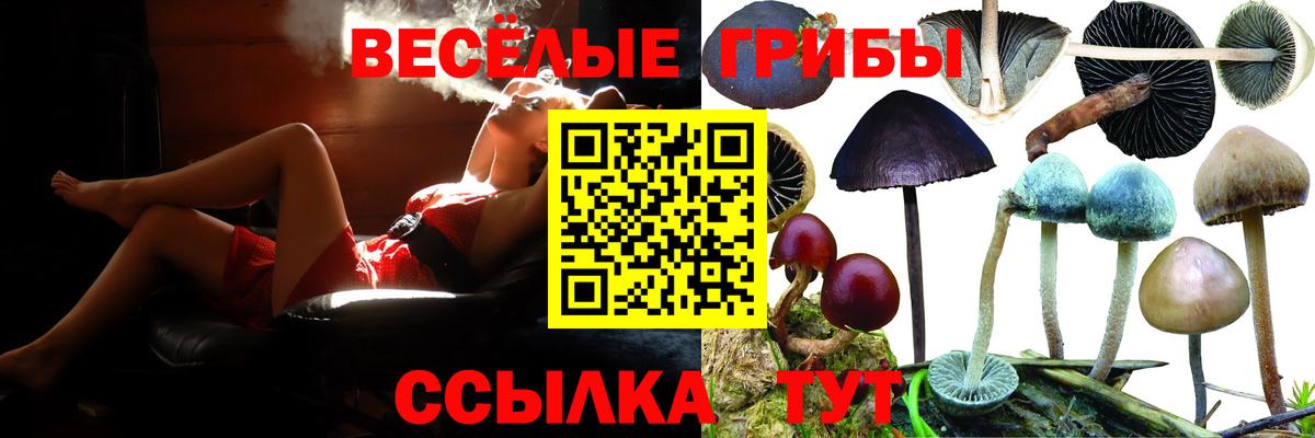закладка  Вход с VPN  Гусев  Псилоцибиновые грибы ЛСД 